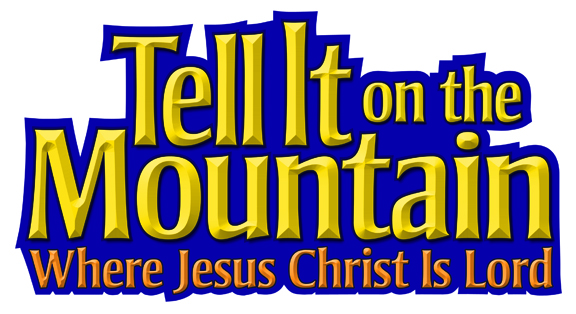 2013_vbs_logo_COLOR_lores